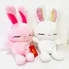 Cute Bunny Plush Soft Toy